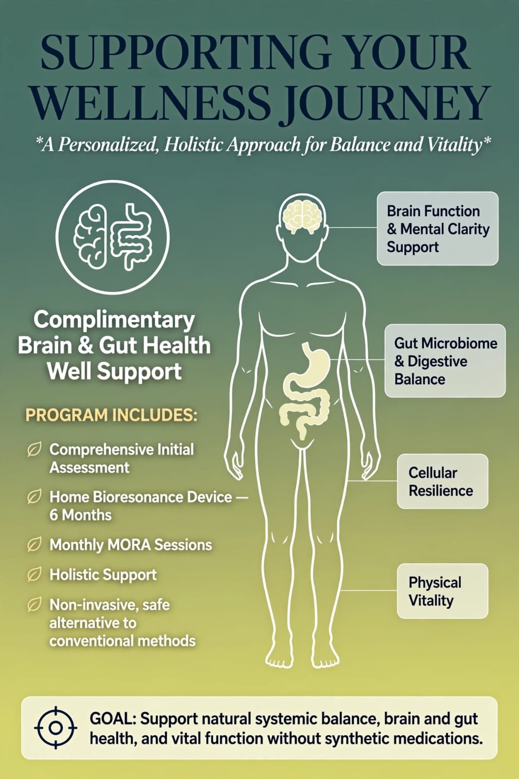 Supporting Your Wellness Journey — Complimentary Brain & Gut Health Well Support